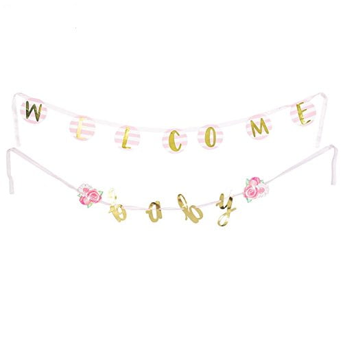 Welcome Baby Baby Shower Bunting Banner Big Dot of Happiness Pink Monkey Girl Pink Party Decorations 
